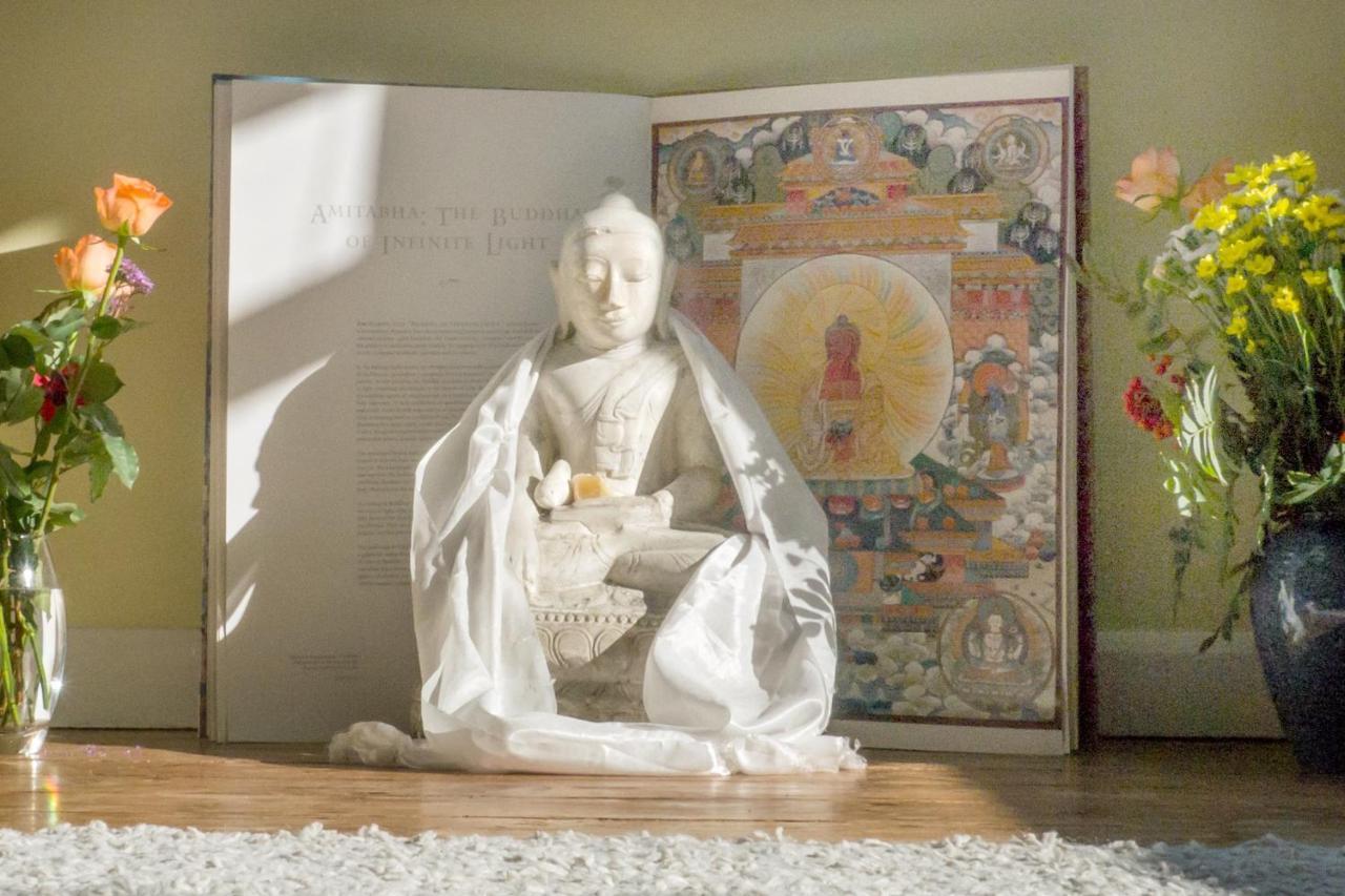 Healing Waters Sanctuary For Exclusive Private Hire And Self Catering Board, Vegetarian, Alcohol & Wifi Free Retreat In Гластонбери Экстерьер фото