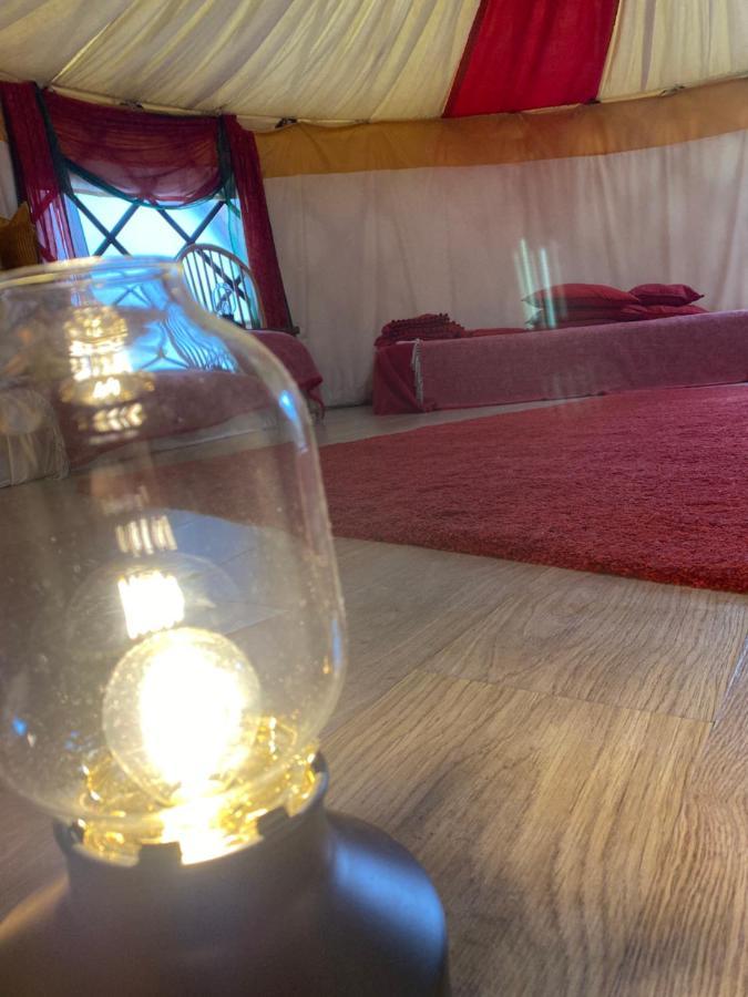 Healing Waters Sanctuary For Exclusive Private Hire And Self Catering Board, Vegetarian, Alcohol & Wifi Free Retreat In Гластонбери Экстерьер фото