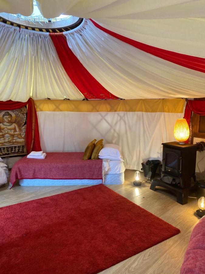 Healing Waters Sanctuary For Exclusive Private Hire And Self Catering Board, Vegetarian, Alcohol & Wifi Free Retreat In Гластонбери Экстерьер фото
